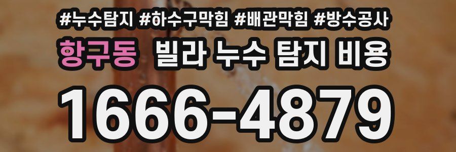 항구동 빌라 누수 탐지 비용