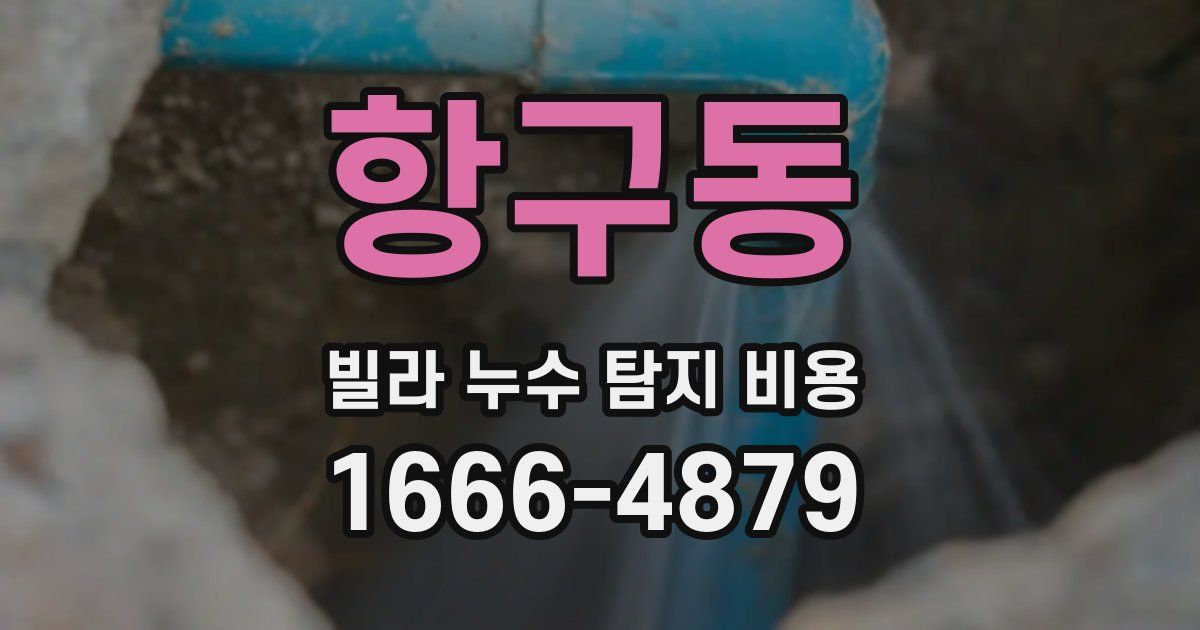 항구동 빌라 누수 탐지 비용