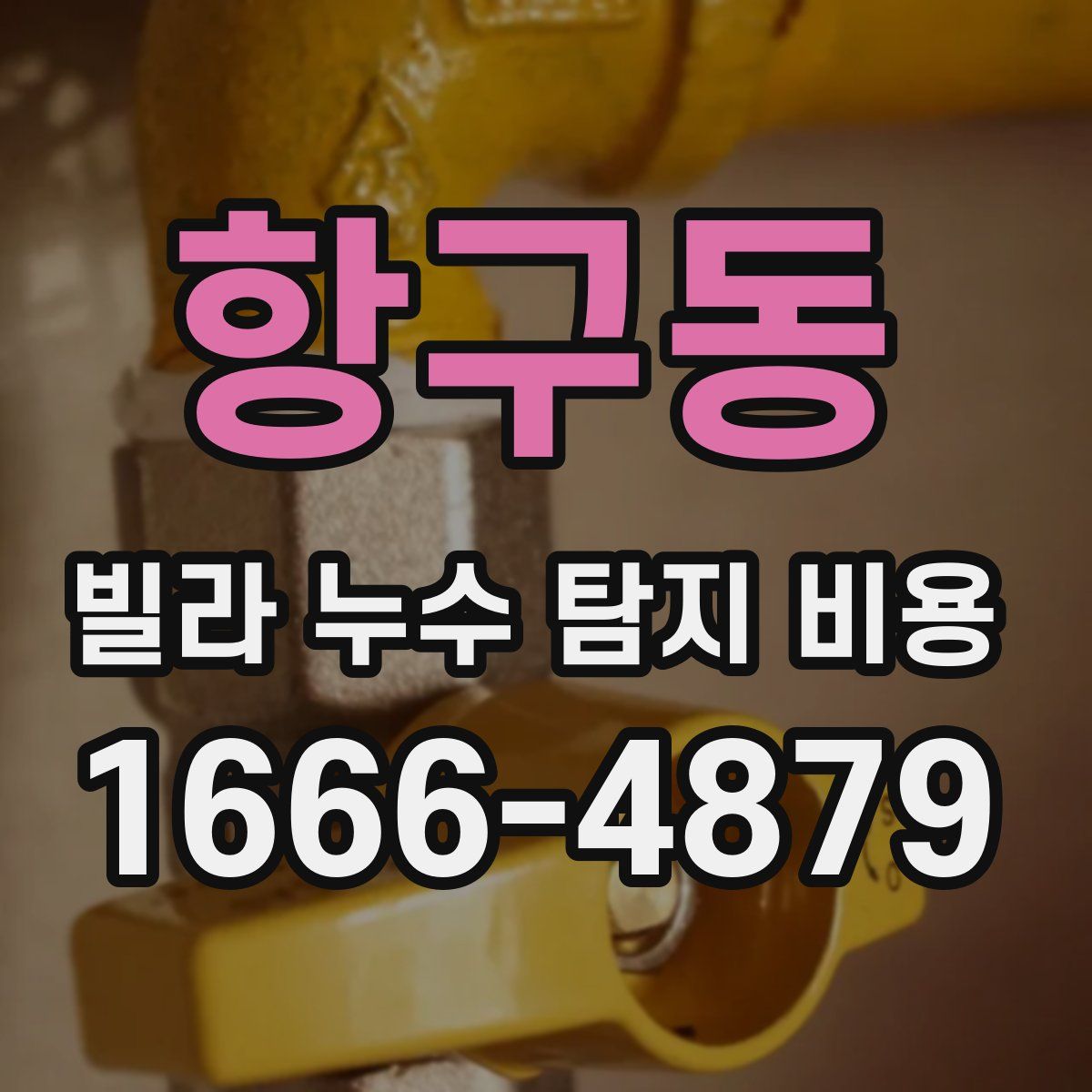 항구동 빌라 누수 탐지 비용