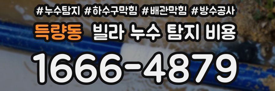 득량동 빌라 누수 탐지 비용