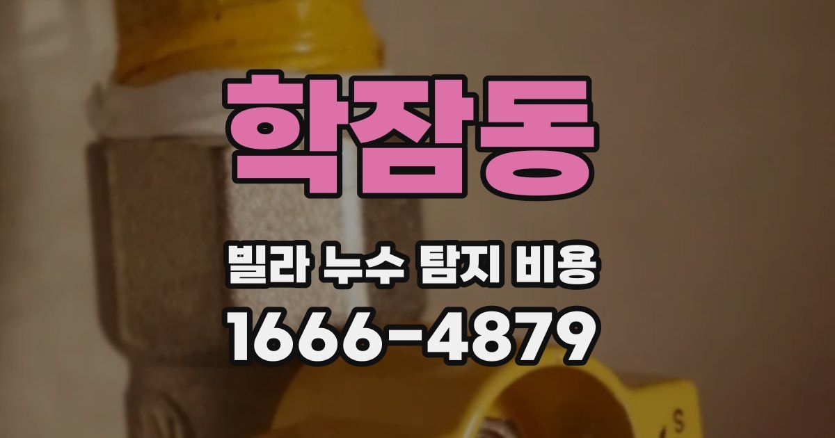 학잠동 빌라 누수 탐지 비용
