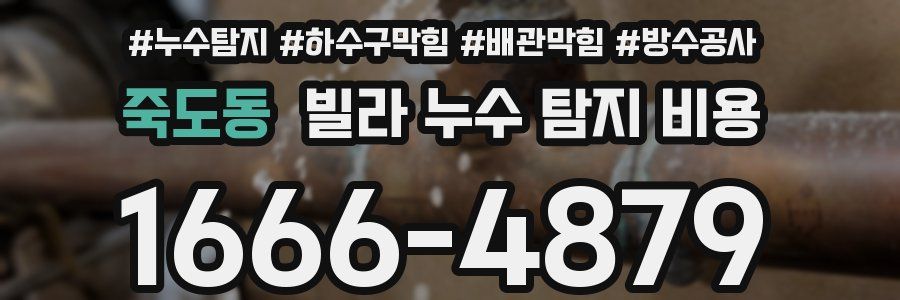 죽도동 빌라 누수 탐지 비용