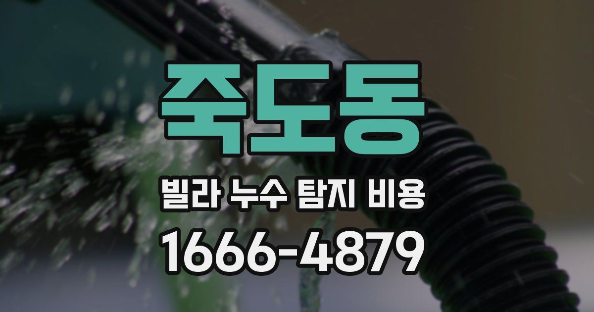 죽도동 빌라 누수 탐지 비용