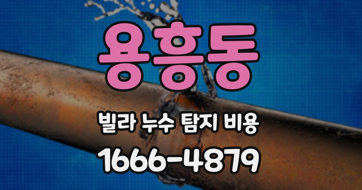 용흥동 빌라 누수 탐지 비용