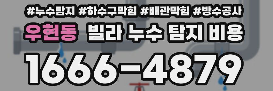 우현동 빌라 누수 탐지 비용