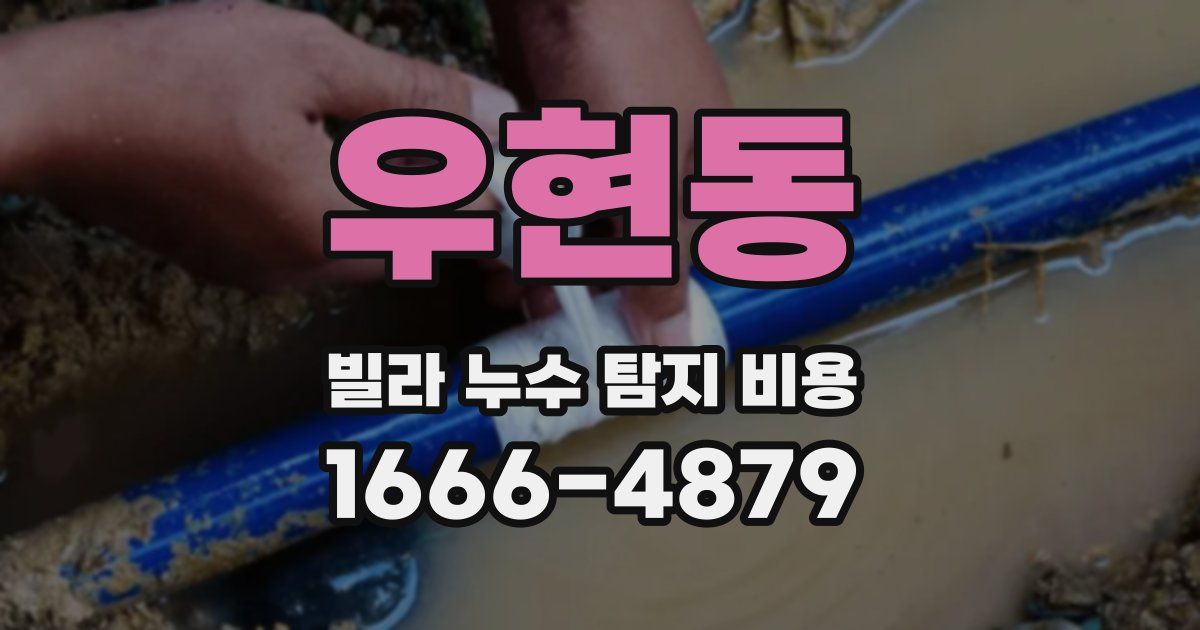 우현동 빌라 누수 탐지 비용
