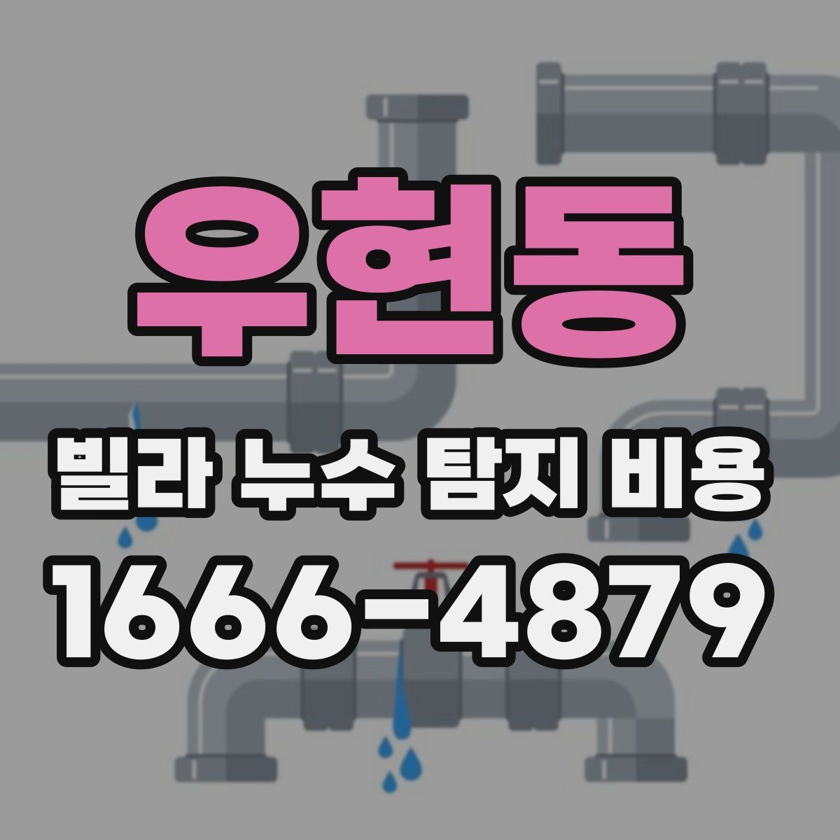 우현동 빌라 누수 탐지 비용