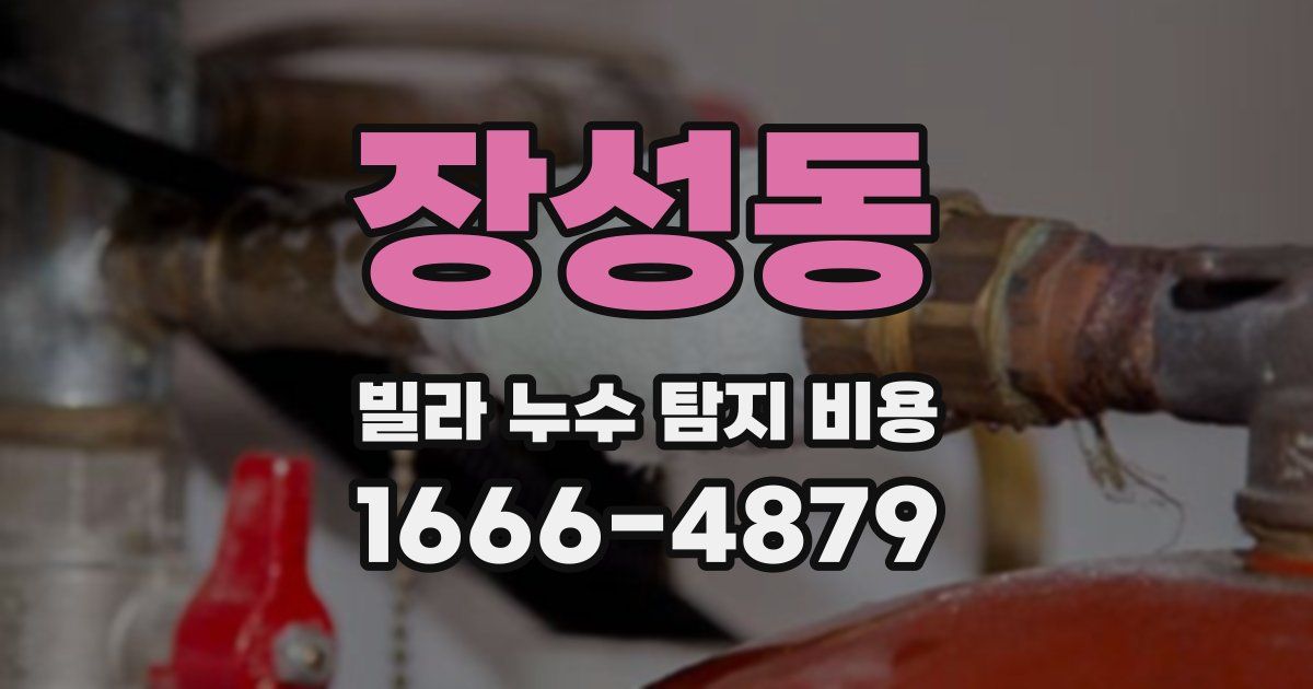 장성동 빌라 누수 탐지 비용