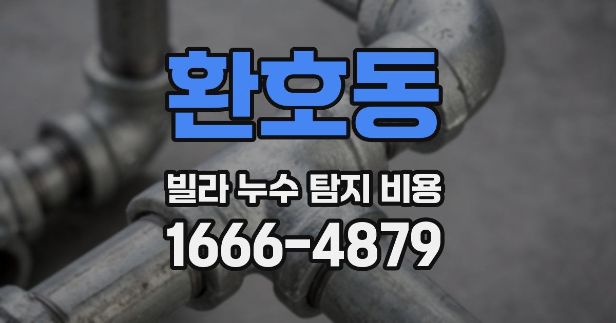 환호동 빌라 누수 탐지 비용