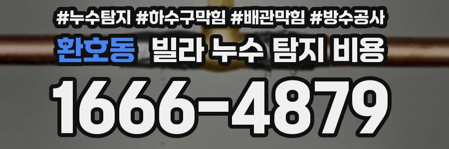 환호동 빌라 누수 탐지 비용