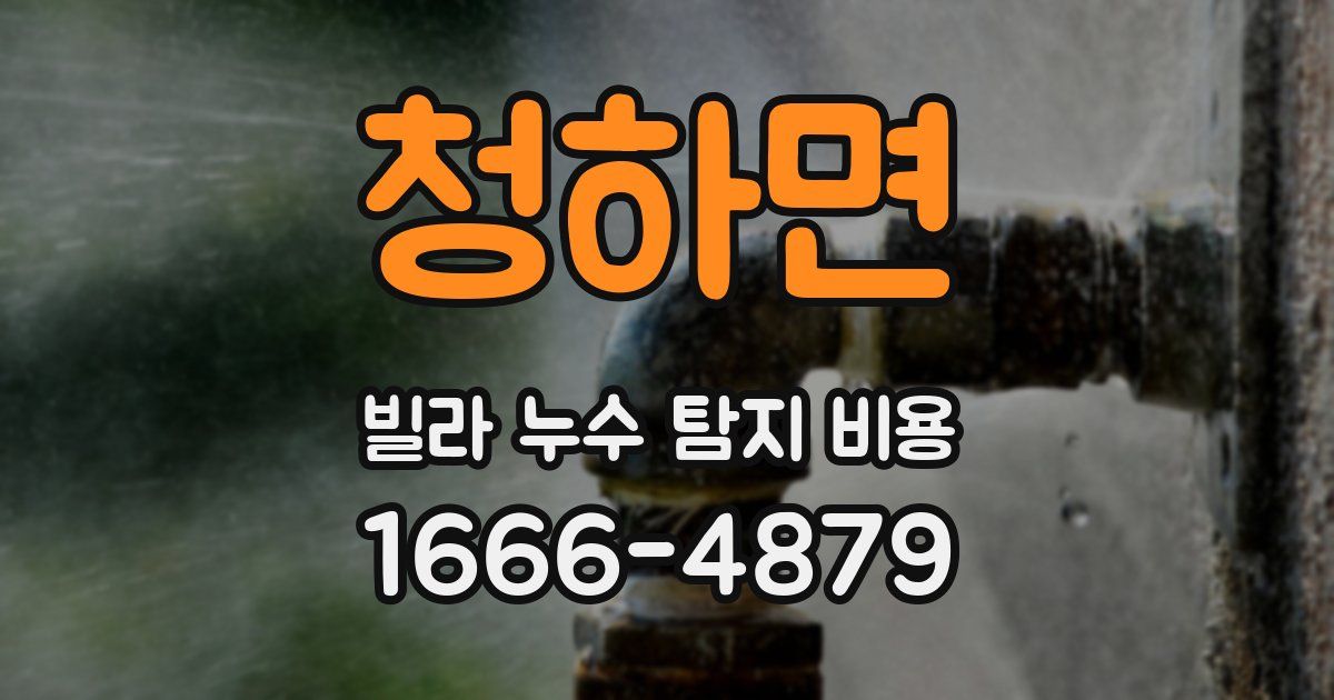 청하면 빌라 누수 탐지 비용