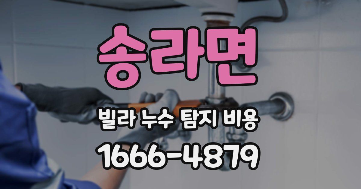 송라면 빌라 누수 탐지 비용