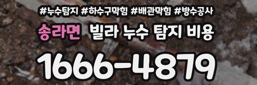 송라면 빌라 누수 탐지 비용