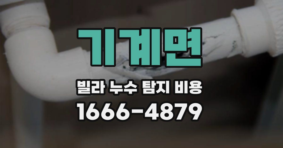 기계면 빌라 누수 탐지 비용