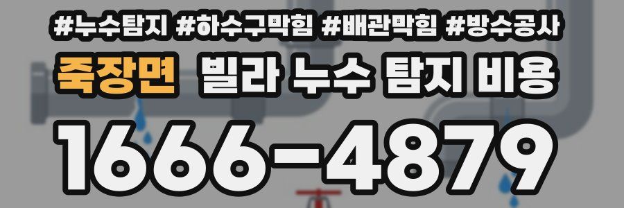 죽장면 빌라 누수 탐지 비용