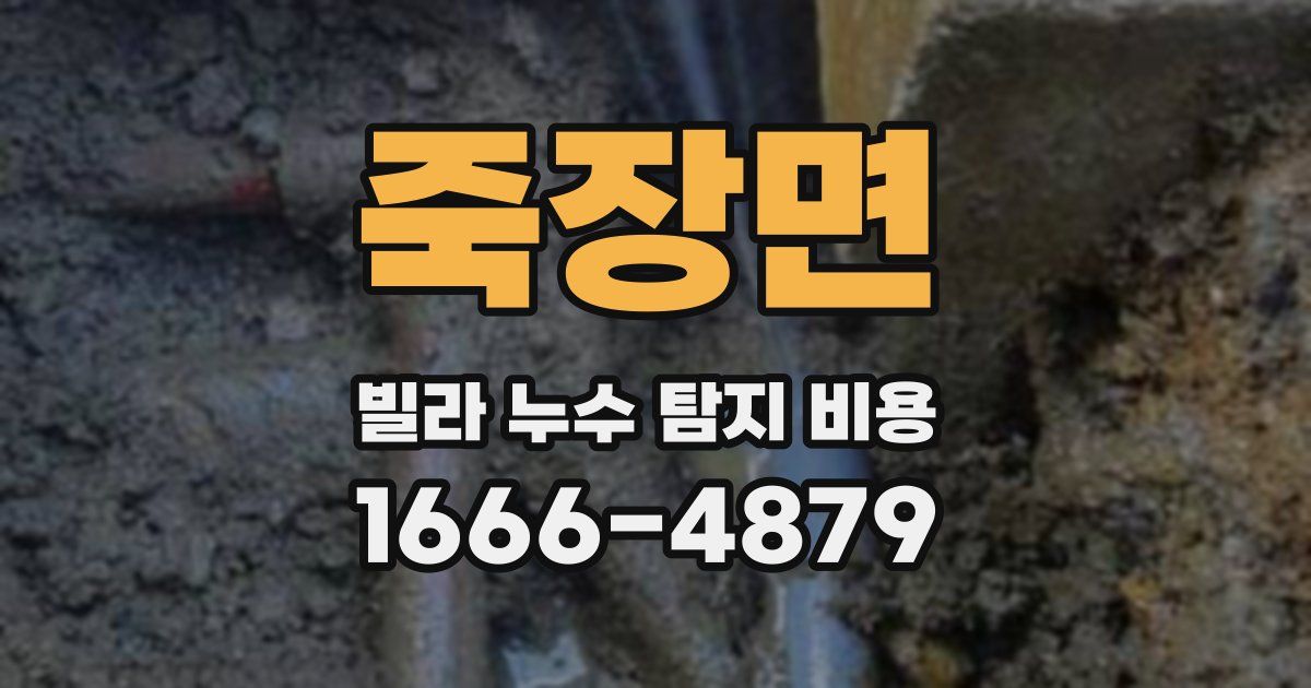 죽장면 빌라 누수 탐지 비용