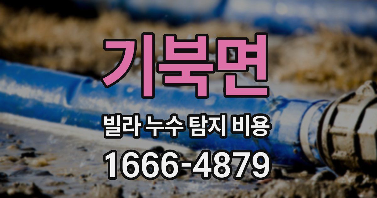 기북면 빌라 누수 탐지 비용