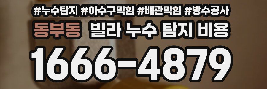 동부동 빌라 누수 탐지 비용