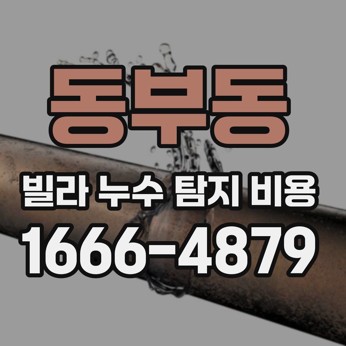 동부동 빌라 누수 탐지 비용