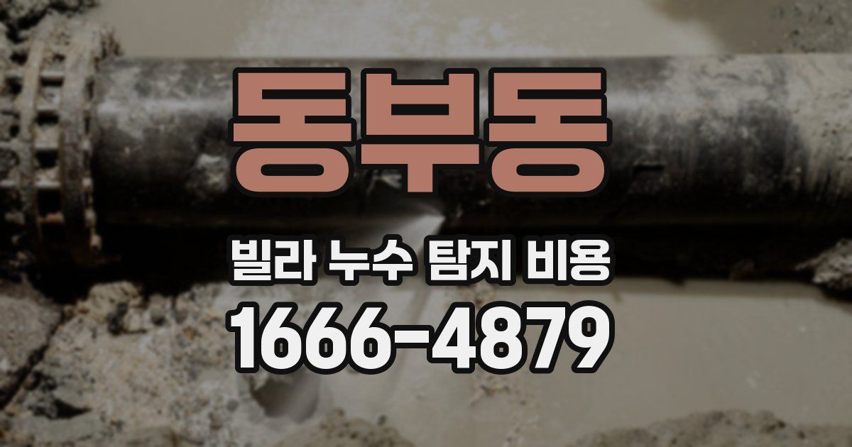동부동 빌라 누수 탐지 비용