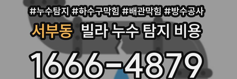 서부동 빌라 누수 탐지 비용