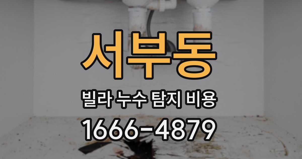서부동 빌라 누수 탐지 비용