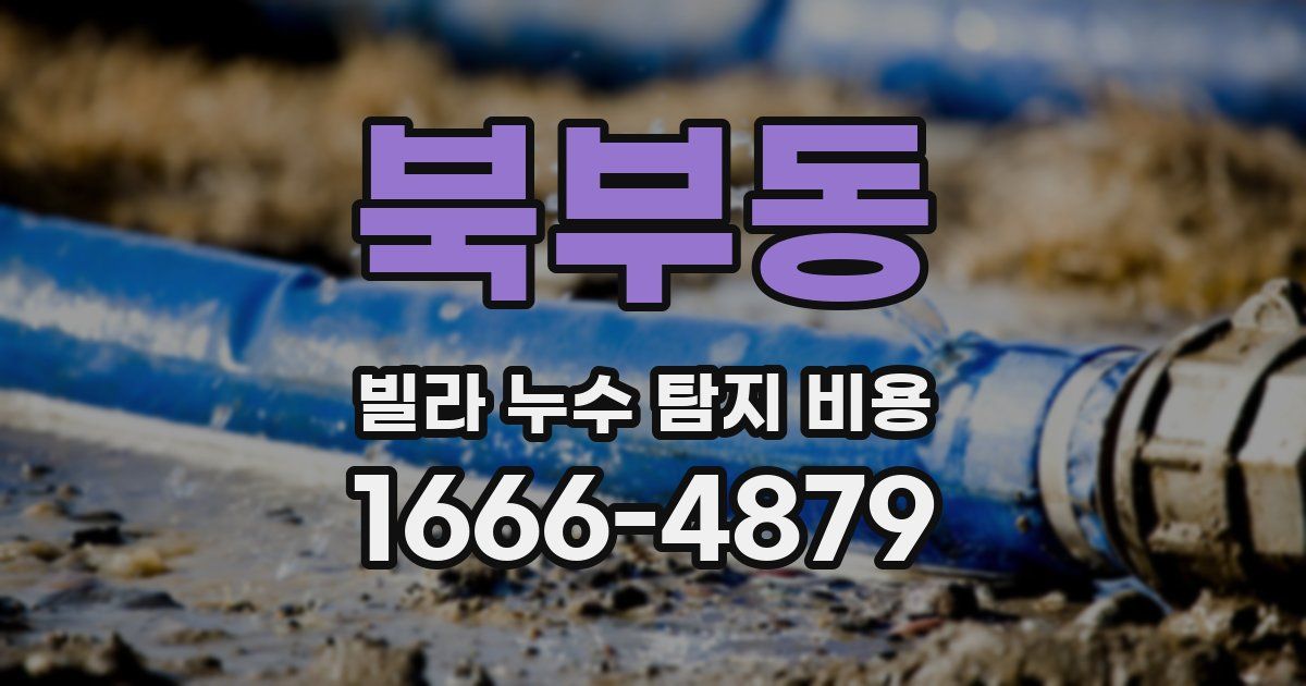 북부동 빌라 누수 탐지 비용