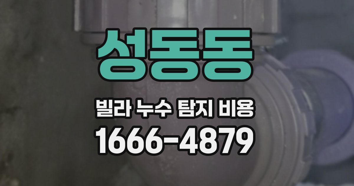 성동동 빌라 누수 탐지 비용