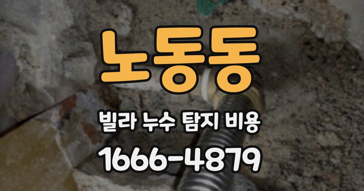 노동동 빌라 누수 탐지 비용