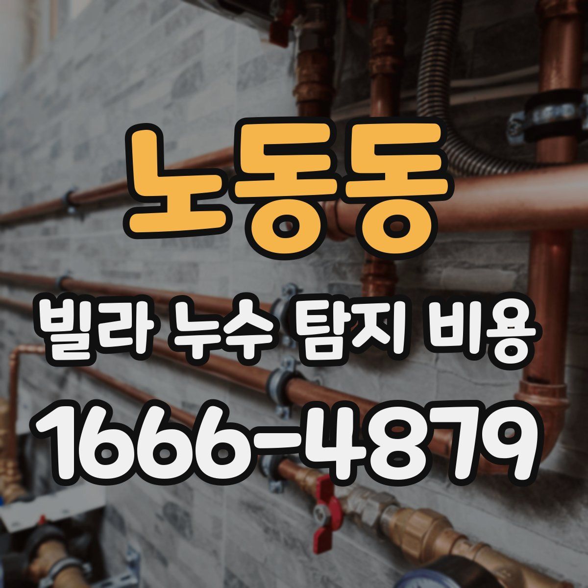 노동동 빌라 누수 탐지 비용