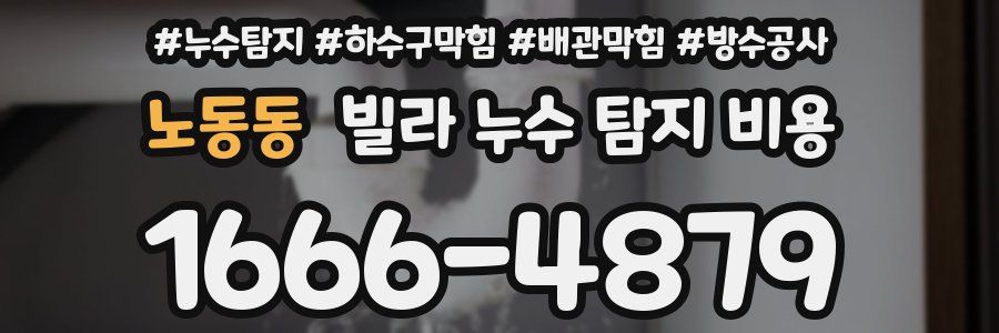 노동동 빌라 누수 탐지 비용