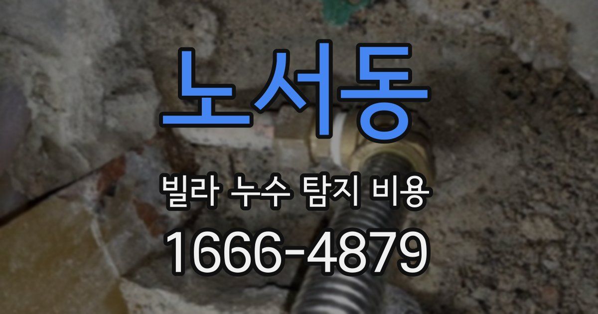 노서동 빌라 누수 탐지 비용