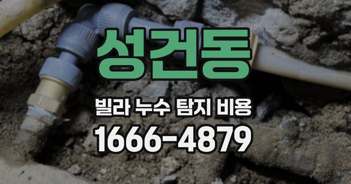성건동 빌라 누수 탐지 비용