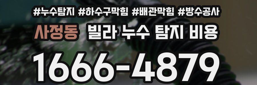 사정동 빌라 누수 탐지 비용