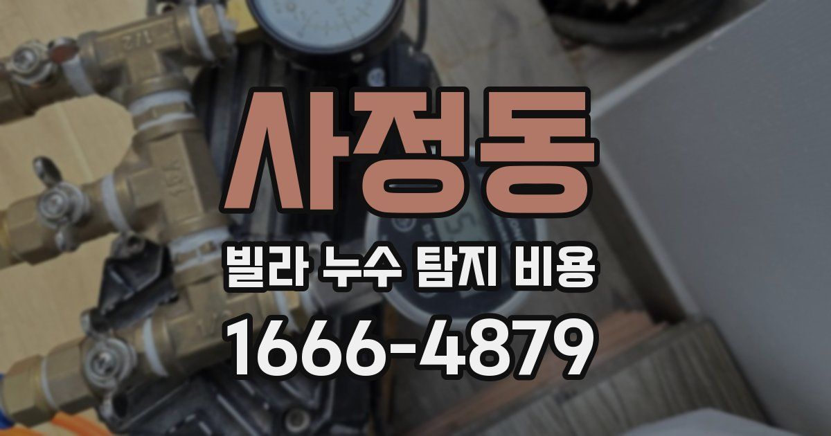 사정동 빌라 누수 탐지 비용