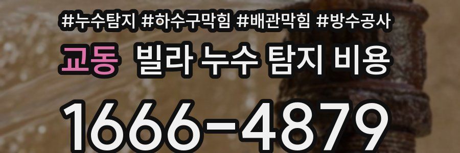 교동 빌라 누수 탐지 비용