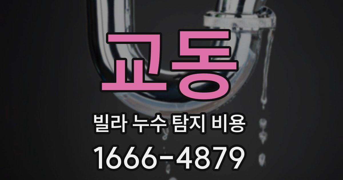 교동 빌라 누수 탐지 비용