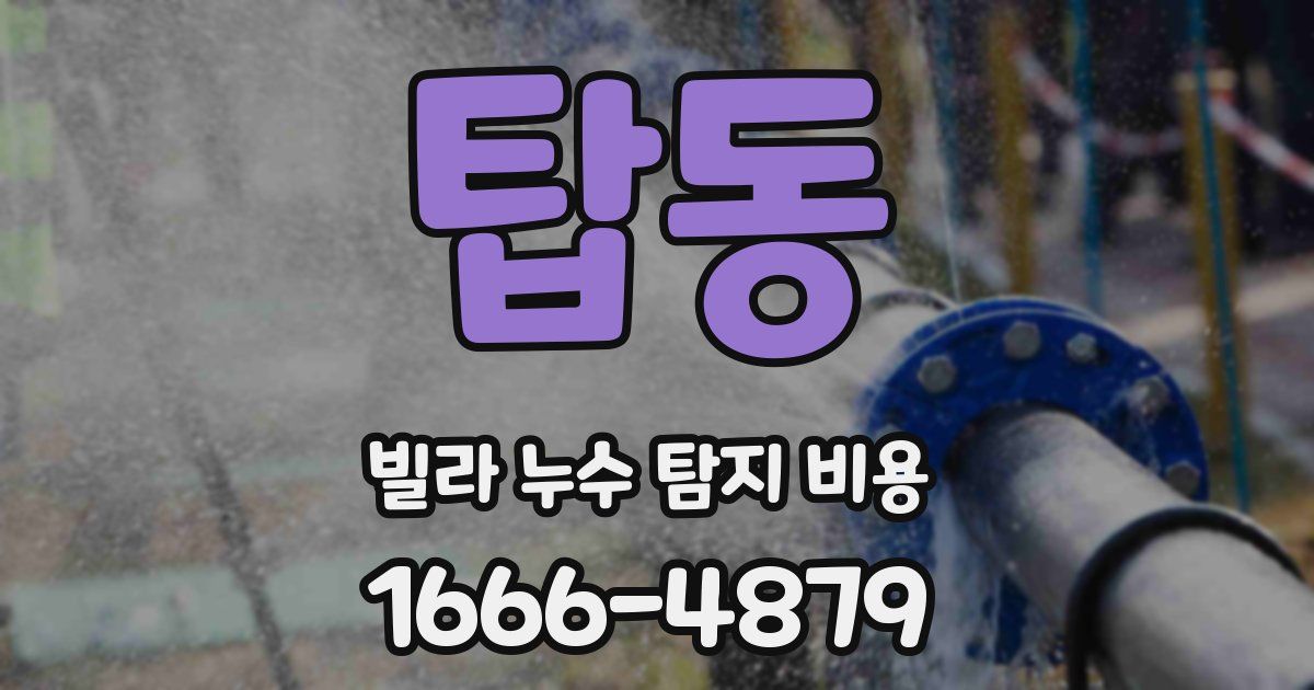 탑동 빌라 누수 탐지 비용