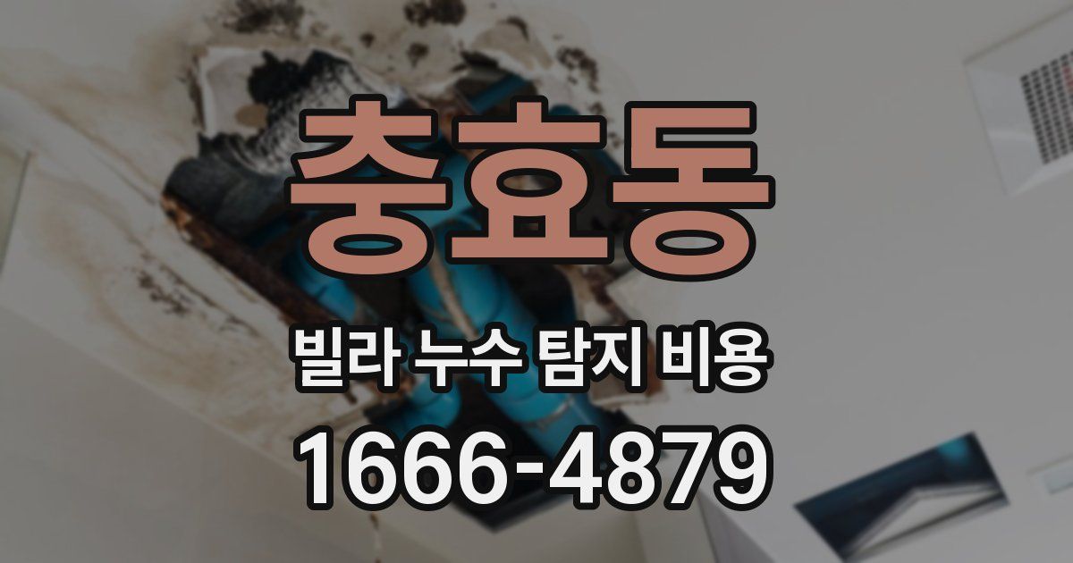 충효동 빌라 누수 탐지 비용
