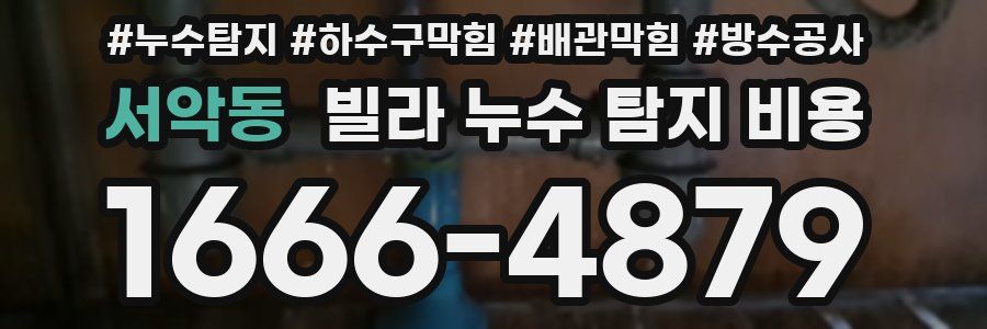 서악동 빌라 누수 탐지 비용