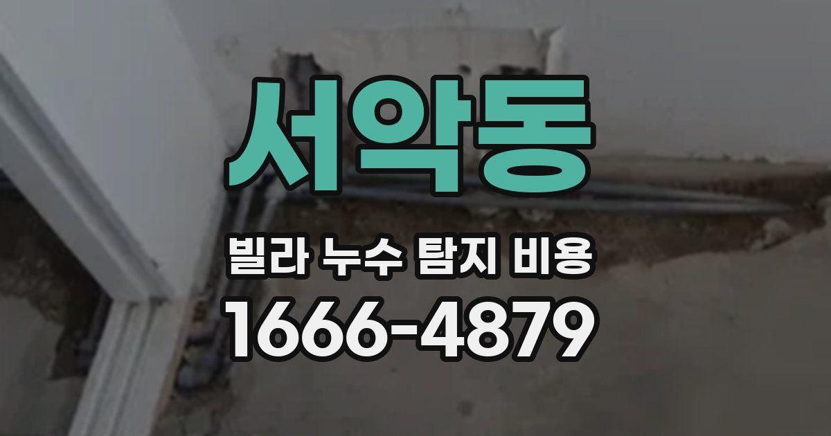 서악동 빌라 누수 탐지 비용