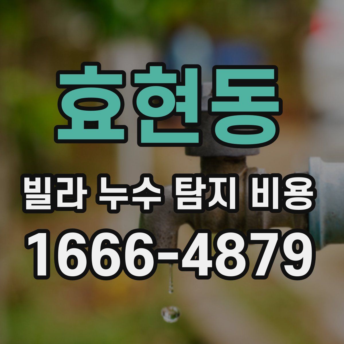 효현동 빌라 누수 탐지 비용