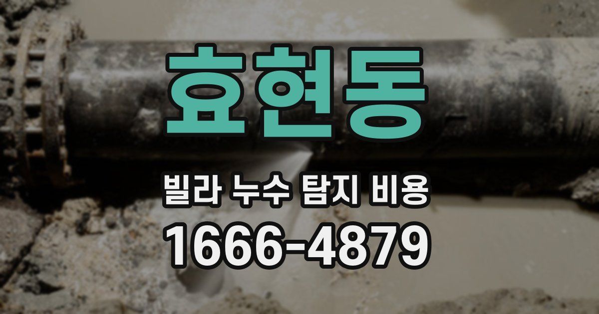 효현동 빌라 누수 탐지 비용