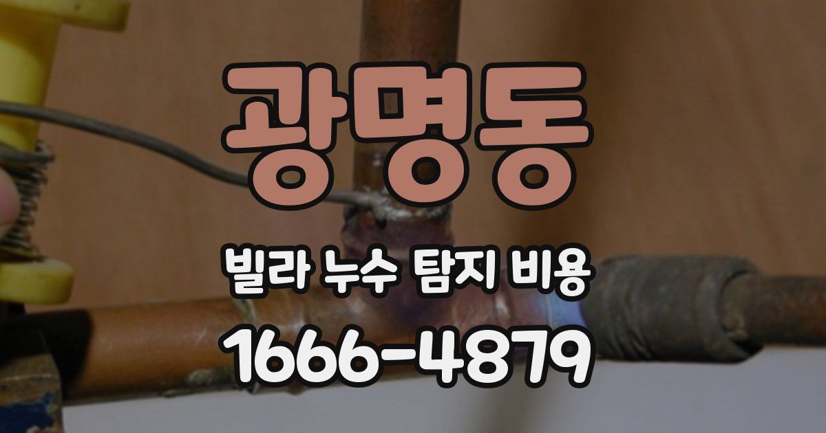 광명동 빌라 누수 탐지 비용
