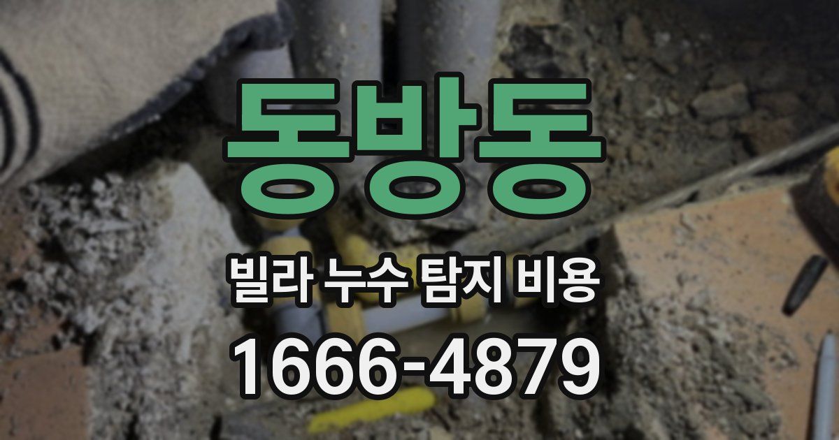 동방동 빌라 누수 탐지 비용