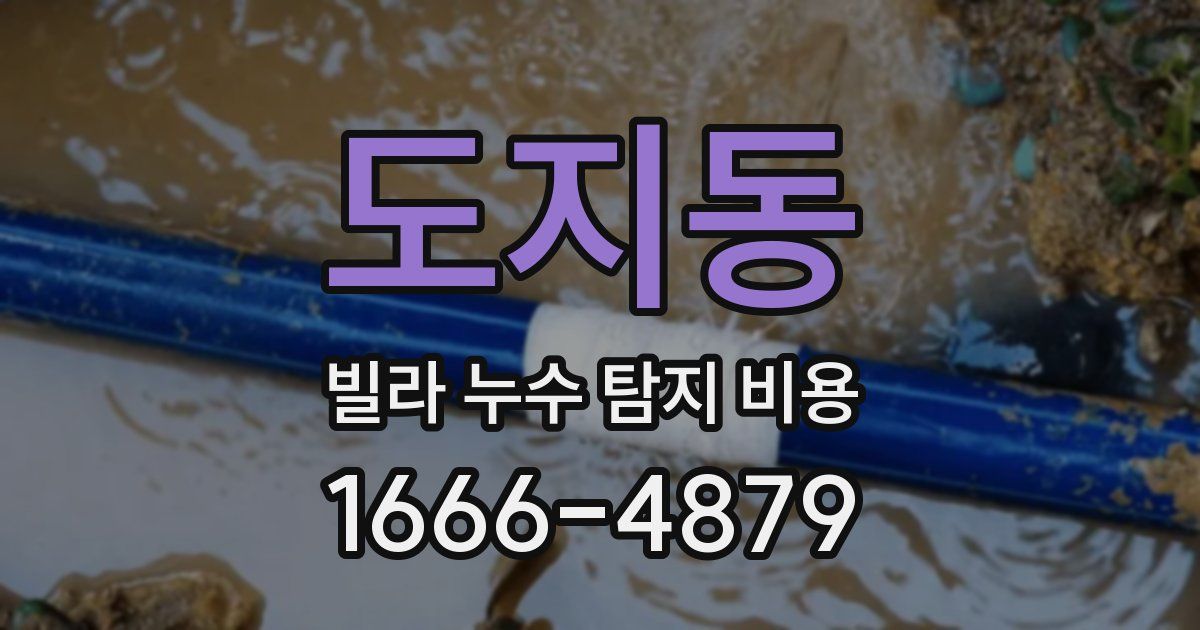 도지동 빌라 누수 탐지 비용