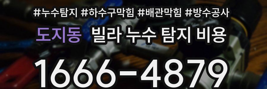 도지동 빌라 누수 탐지 비용