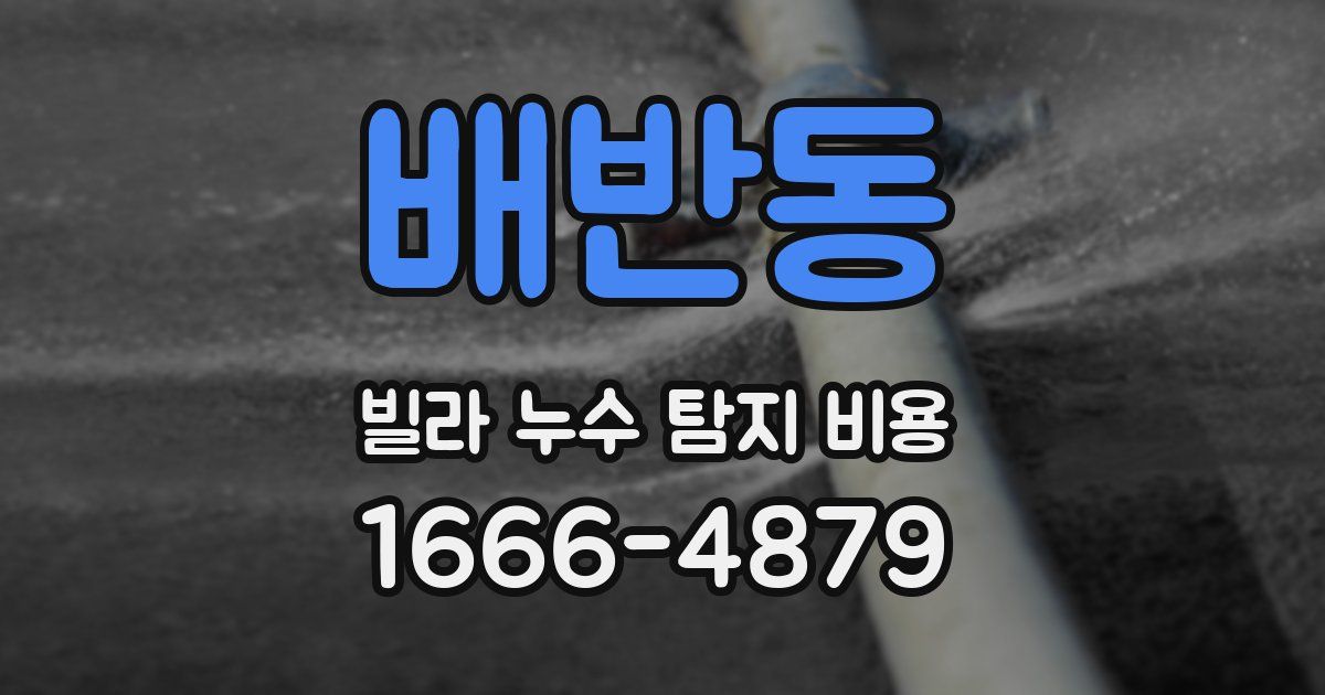 배반동 빌라 누수 탐지 비용