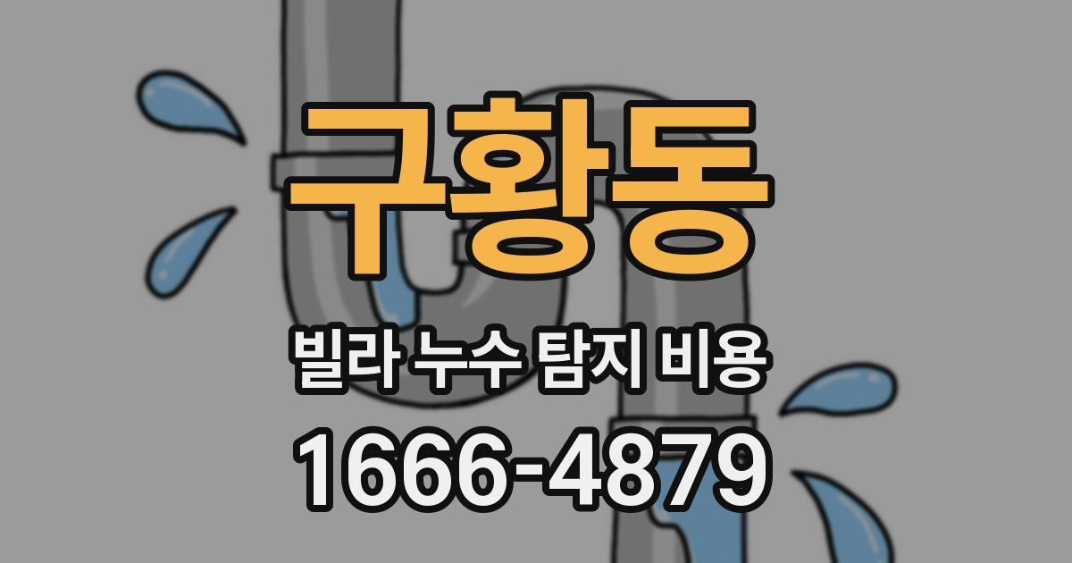 구황동 빌라 누수 탐지 비용