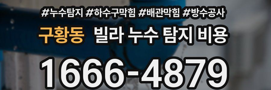 구황동 빌라 누수 탐지 비용